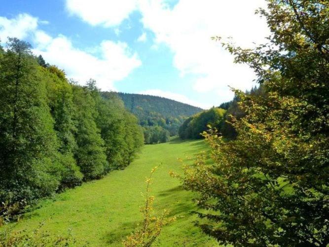 Apartment In The Odenwald With Terrace Mossautal المظهر الخارجي الصورة