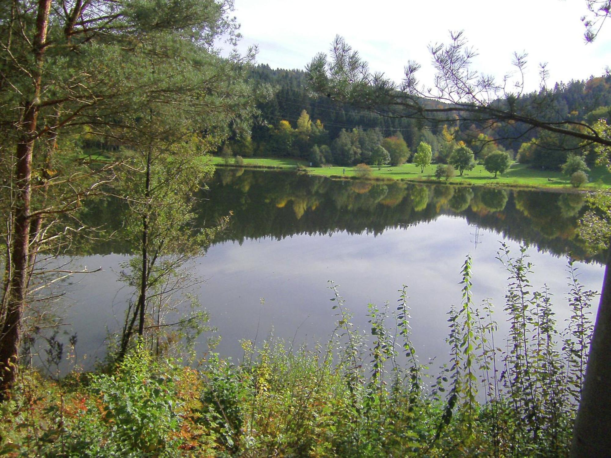 Apartment In The Odenwald With Terrace Mossautal المظهر الخارجي الصورة