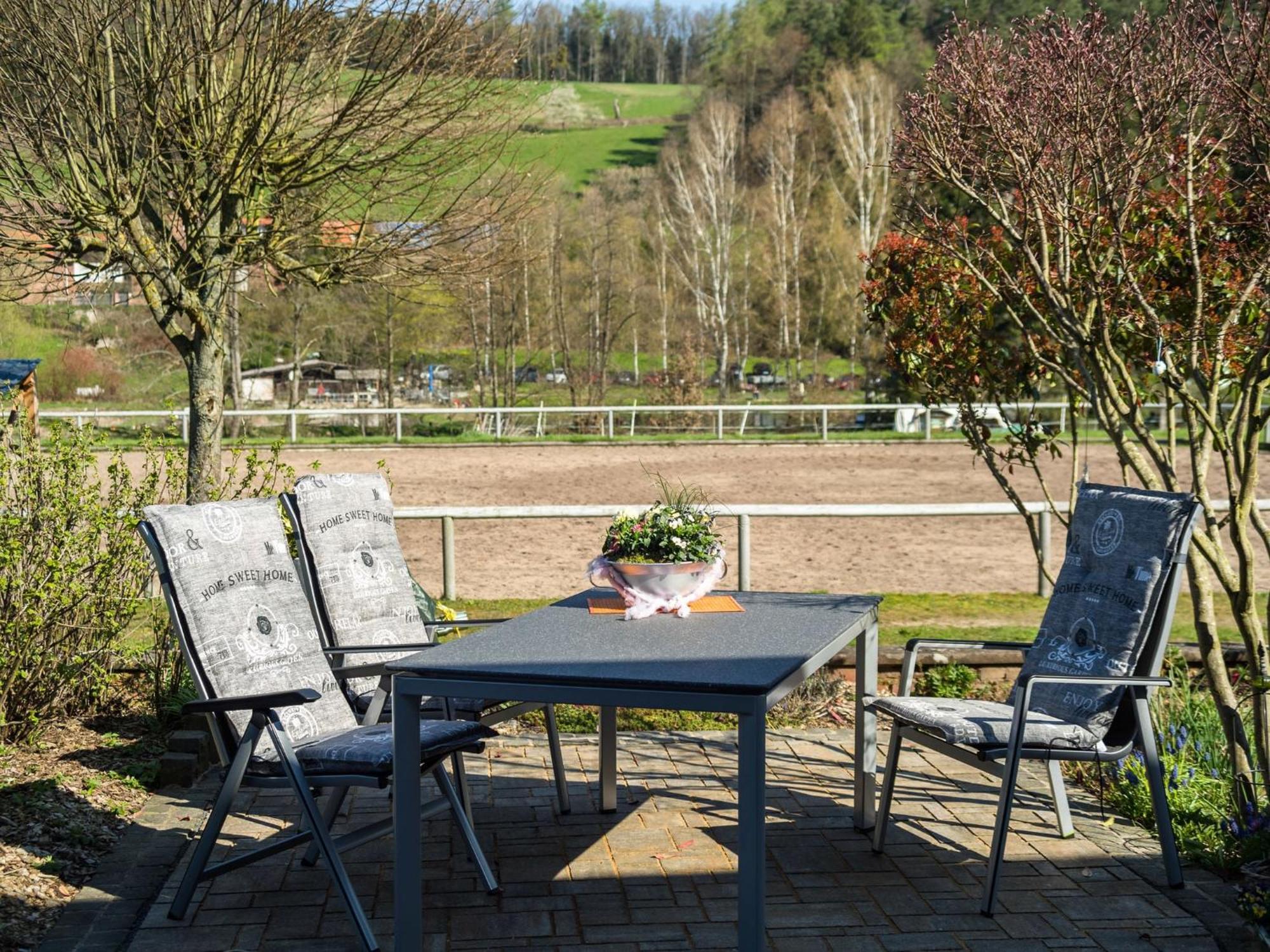 Apartment In The Odenwald With Terrace Mossautal المظهر الخارجي الصورة