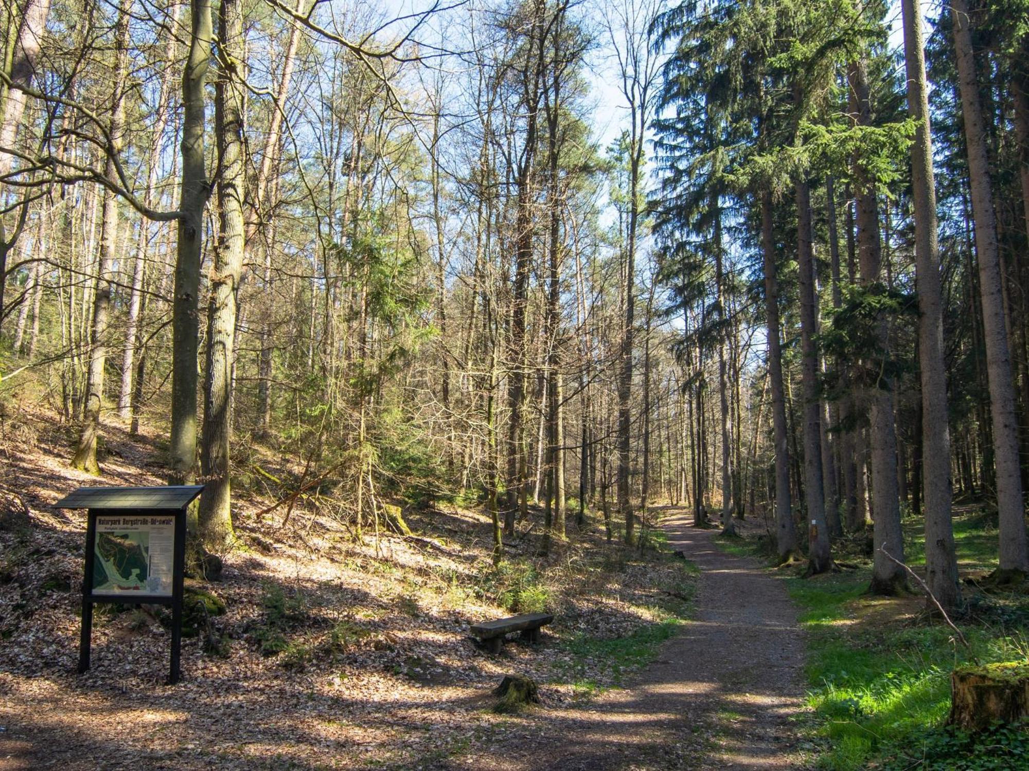 Apartment In The Odenwald With Terrace Mossautal المظهر الخارجي الصورة
